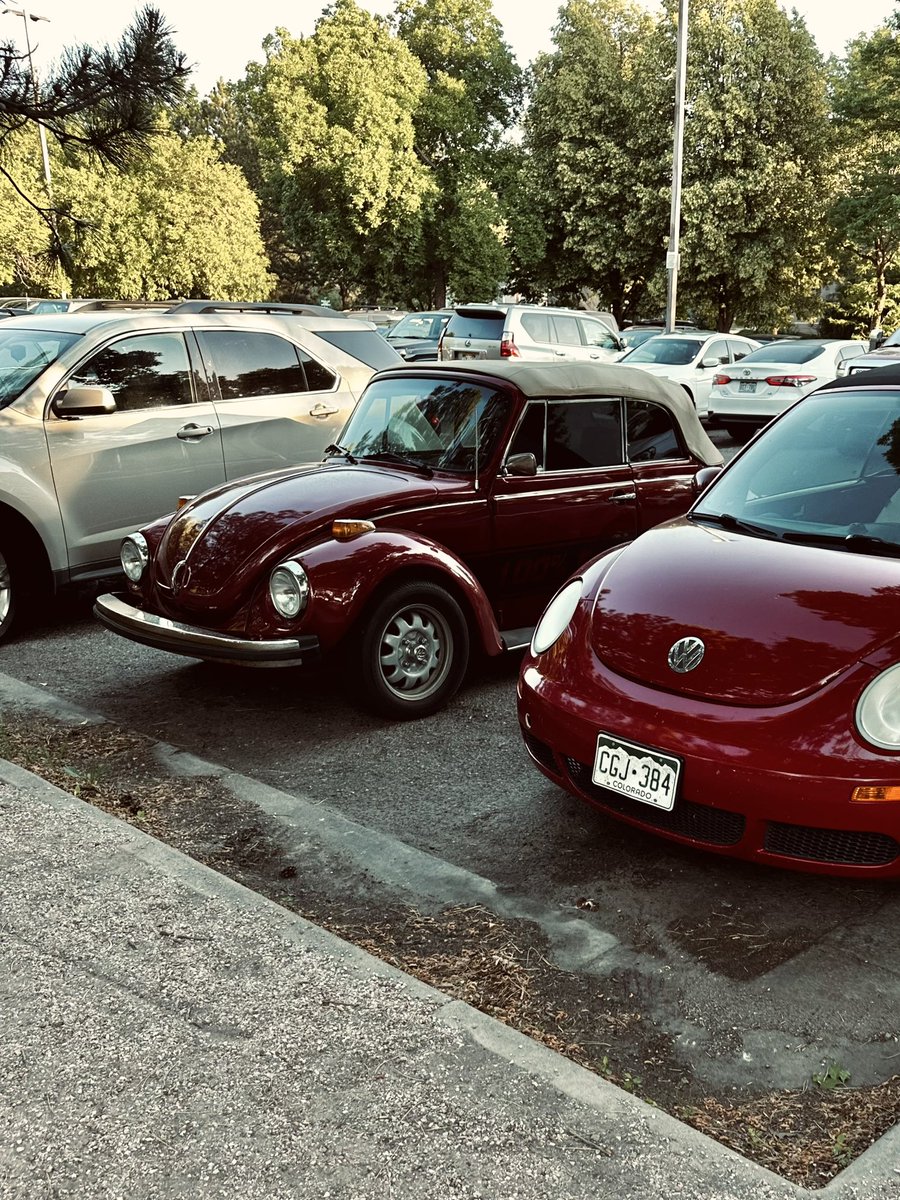 geekindisguise's tweet image. The bugs gotta stick together.

#VWBeetle #ElectricConversion