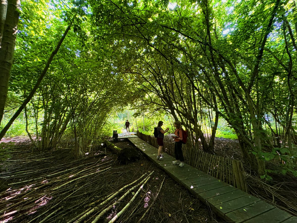 Jetzt anmelden: Fahrrad-Exkursion und Picknick am 20.07.2024. Eine Tour entlang verschiedener entstehender und vergehender, verlorener und wiedergewonnener DIY-Paradiese

➡️Alle Informationen findet Ihr hier: 
hmkv.de/veranstaltunge…

<a href="/IArns/">Inke Arns</a>