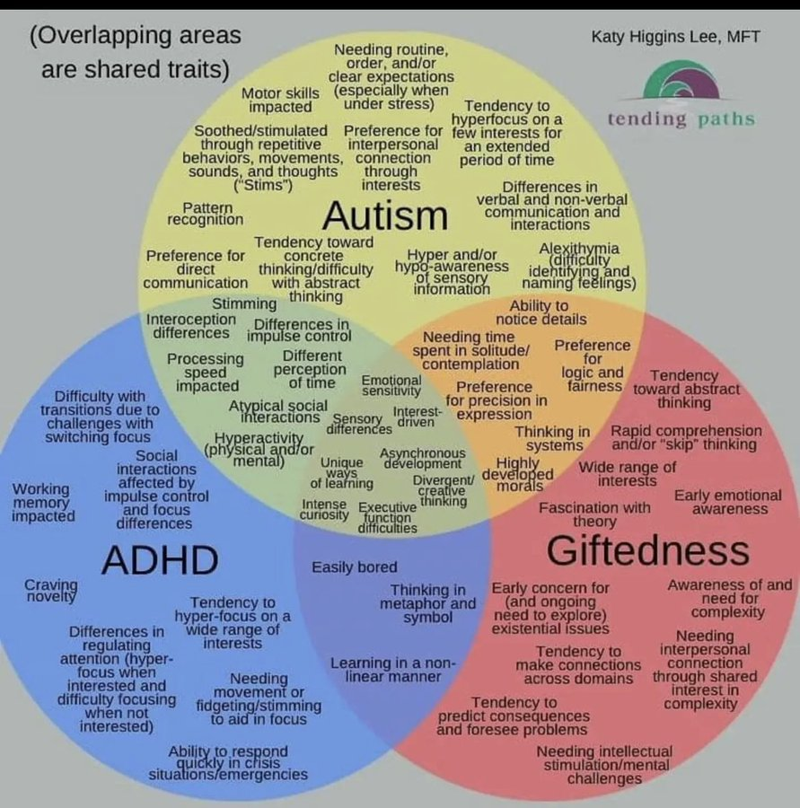 Many mathematicians I know fit in here somewhere