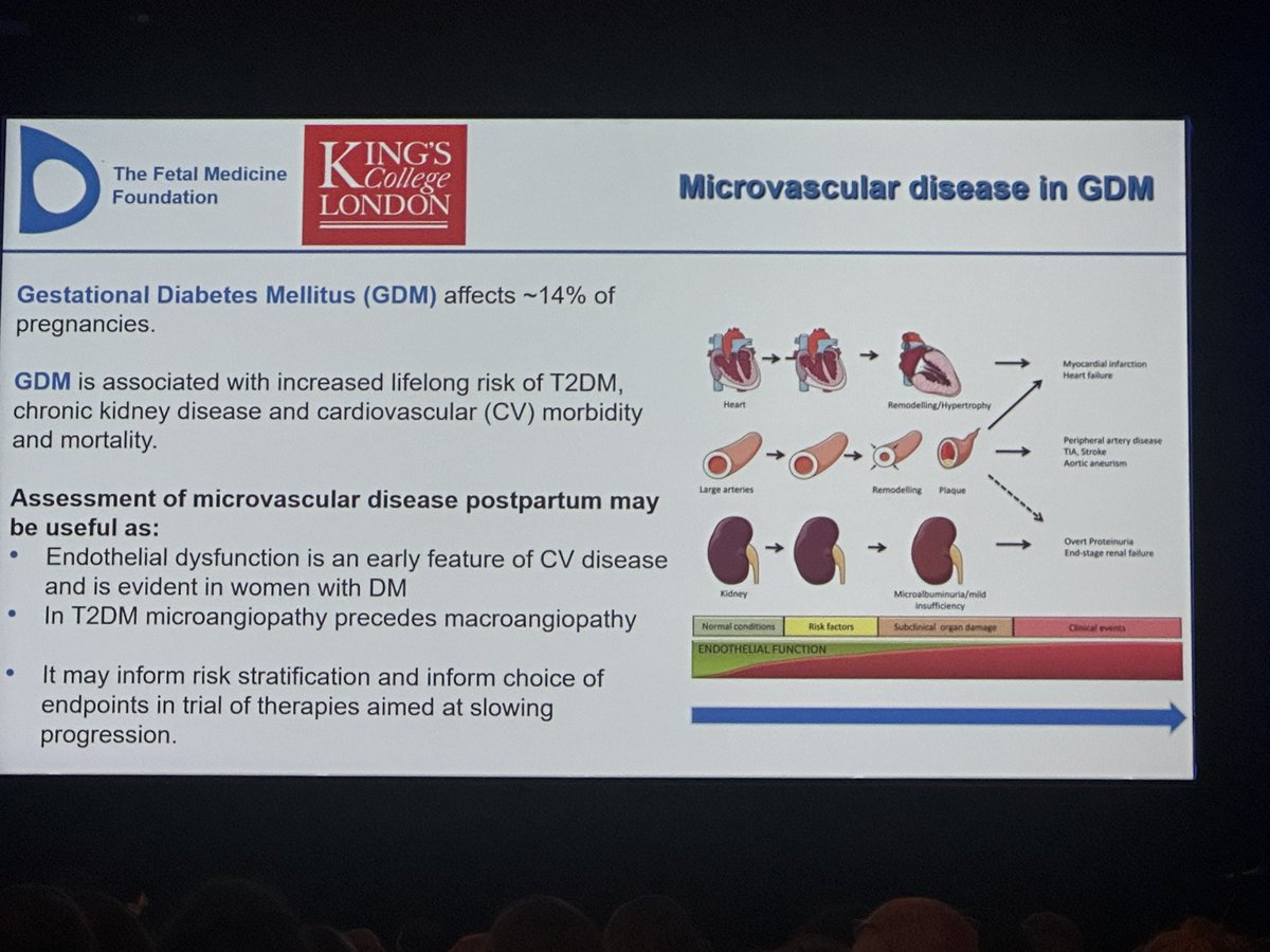 Panicos Shangaris, PhD tweet media