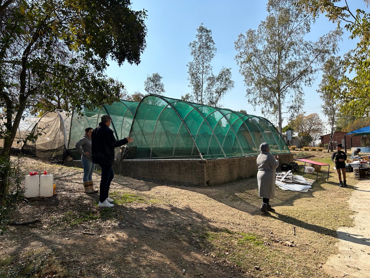 Mark Sham tweet media