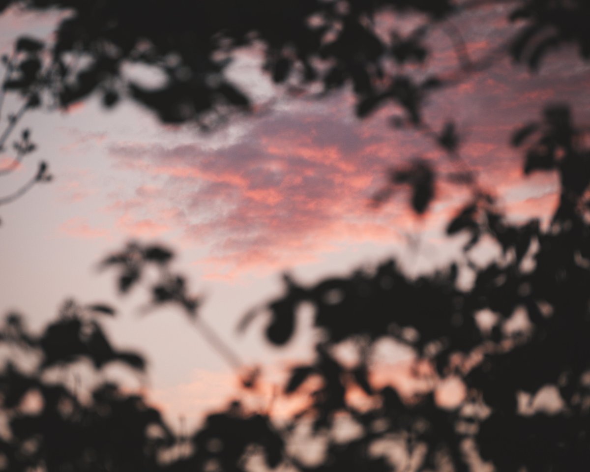 Veggie Vagabonds. Ethical Adventures (@veggievagabonds) on Twitter photo 