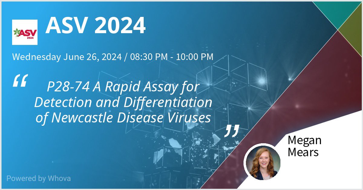 MMears_'s tweet image. I have a flash talk and poster tonight! If you’re at @AmerSocVirol #ASV2024 come stop by to hear about NDV!