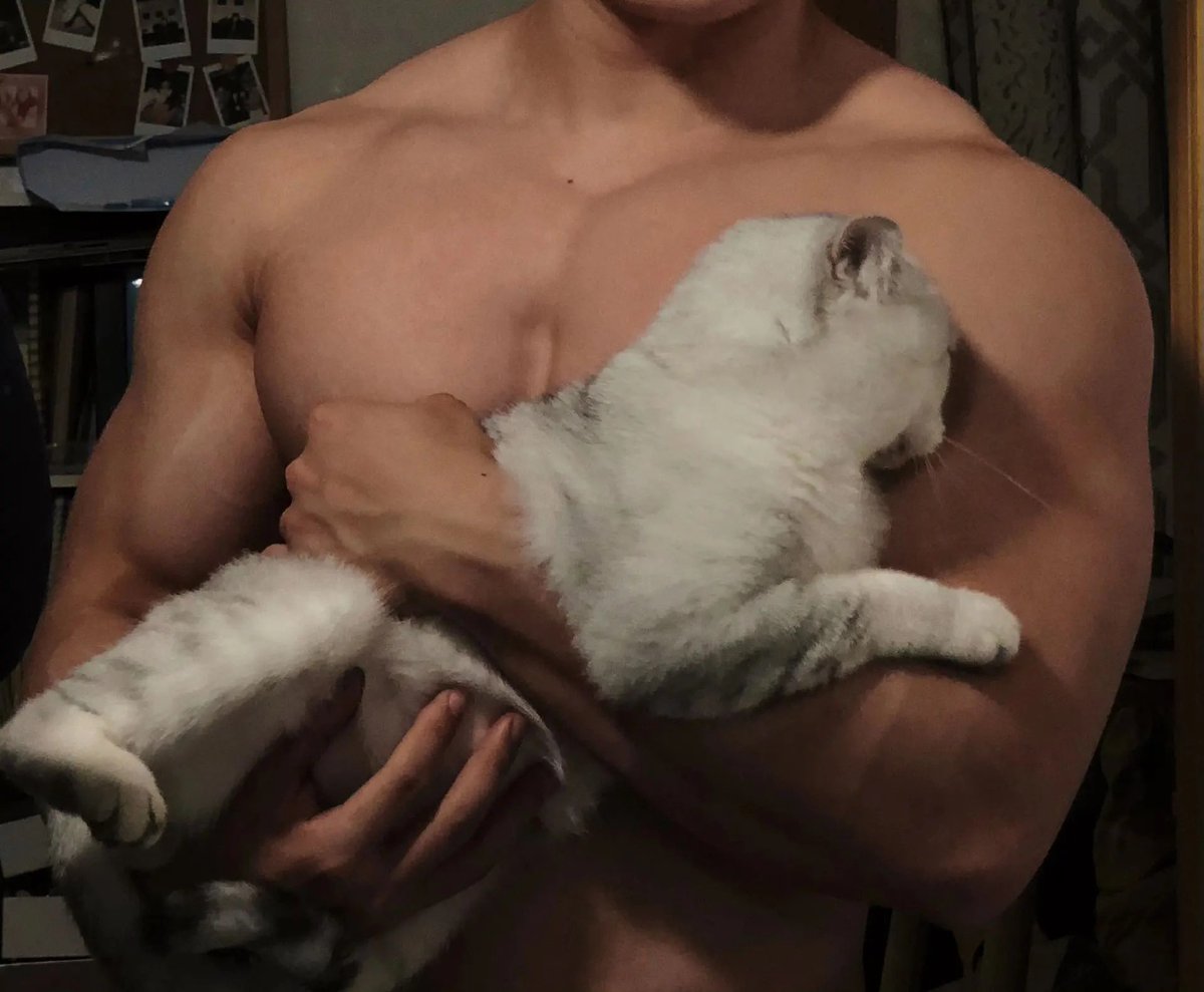 aeuiokztxr8's tweet photo. Resistance is useless ππ€ͺπ€€#chinchillacat #menandcat #musclemen #musclebody #boyfriendpower #armmuscles #fatchinchilla #catcallingmen #cutecat #cutechinchilla #lovelycat #musclebodybuildingmotivation #menwithcats https://t.co/X74Z4ST212
