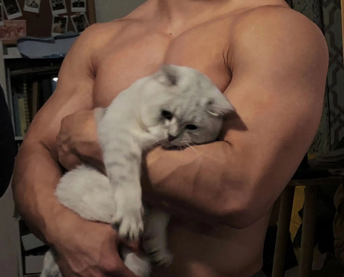 aeuiokztxr8's tweet photo. Resistance is useless ππ€ͺπ€€#chinchillacat #menandcat #musclemen #musclebody #boyfriendpower #armmuscles #fatchinchilla #catcallingmen #cutecat #cutechinchilla #lovelycat #musclebodybuildingmotivation #menwithcats https://t.co/X74Z4ST212