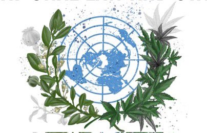 FieldsOfGreenFA's tweet image. 🌍 Good News on World Drug Day! 🌿

Brazil decriminalizes cannabis possession, Amnesty International advocates for human rights in drug policies, and the UN launches the World Drug Report🌟

fieldsofgreenforall.org.za/good-news-on-w…

@SDPcampaign 
#Harmreduction #DrugPolicyReform #HumanRights