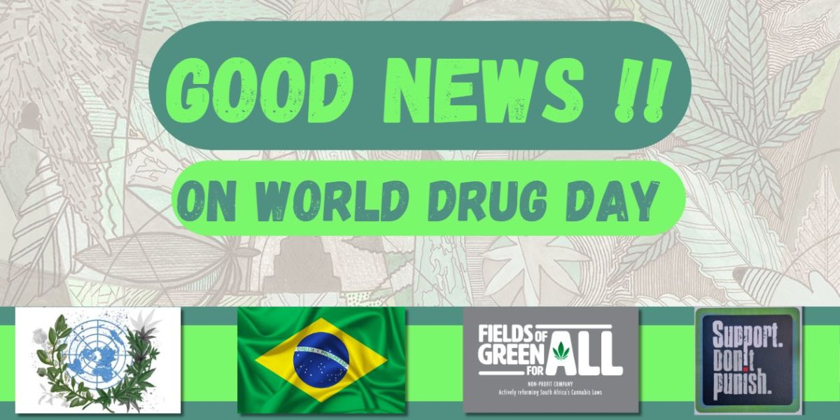 FieldsOfGreenFA's tweet image. 🌍 Good News on World Drug Day! 🌿

Brazil decriminalizes cannabis possession, Amnesty International advocates for human rights in drug policies, and the UN launches the World Drug Report🌟

fieldsofgreenforall.org.za/good-news-on-w…

@SDPcampaign 
#Harmreduction #DrugPolicyReform #HumanRights