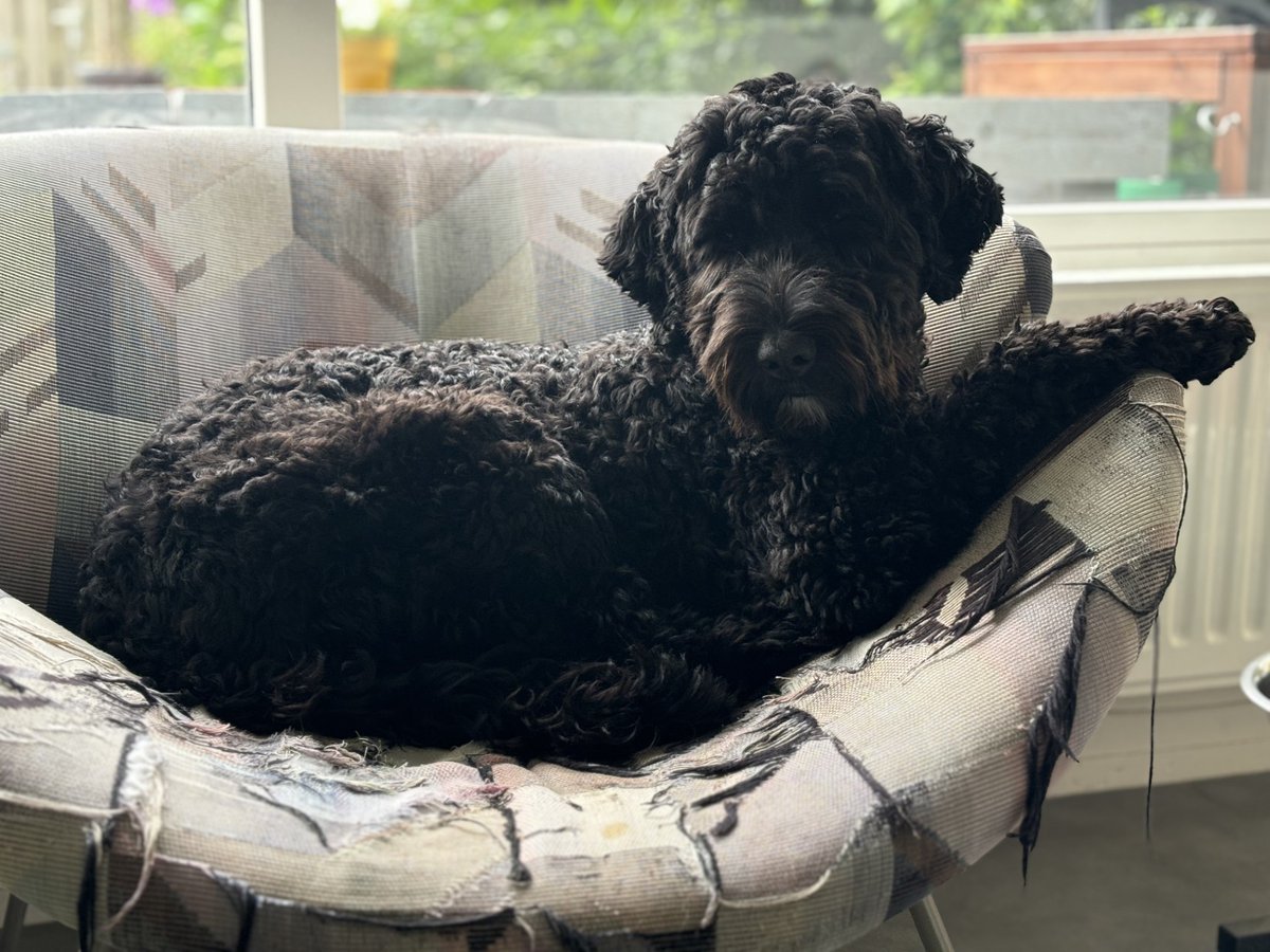 Dr. Pamala Wiepking tweet media