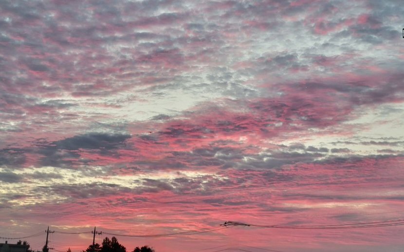 Maka_jtd's tweet photo. 🩷🤍☁
冬は朝（左）
夏は夕方（右）
東と西
どちらも綺麗なピンクの空

最近、ピンクと紫が混ざったような綺麗な空をよく見掛ける。
綺麗な空に癒される(*´˘`*)

今日も1日お疲れ様でした🌿
明日も元気に穏やかに笑顔で☺ https://t.co/1rqWAtNg19