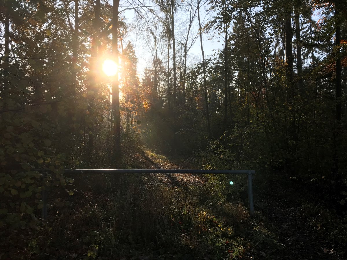 Der Sommer liess dieses Jahr auf sich warten, aber langsam steigen die Temperaturen! 🌞 

Hier sind «drei goldene Regeln» für Hitzetage:  
🧘Körperliche Anstrengung vermeiden 
💧 Hitze fernhalten – Körper kühlen 
🍦 Viel trinken – leicht essen

Infos: tinyurl.com/2evv2at3