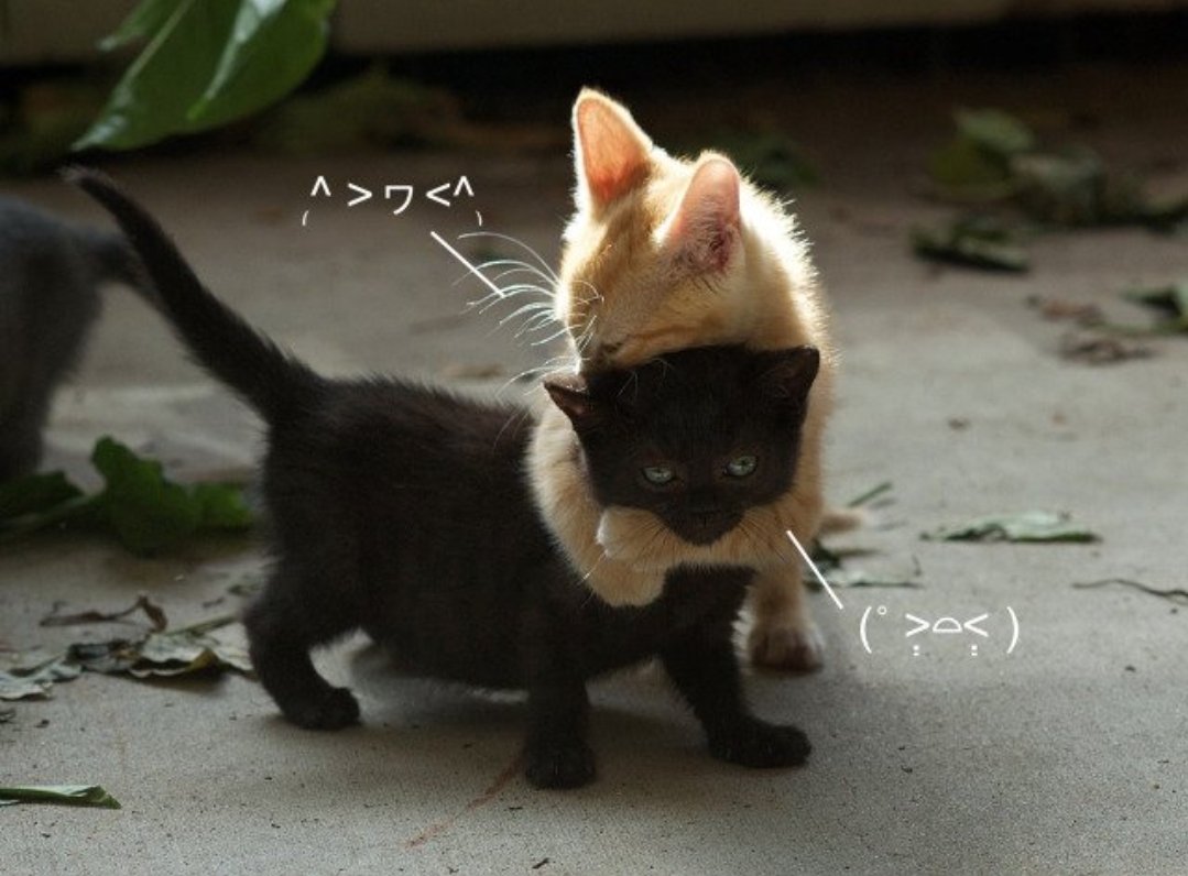 Hug
