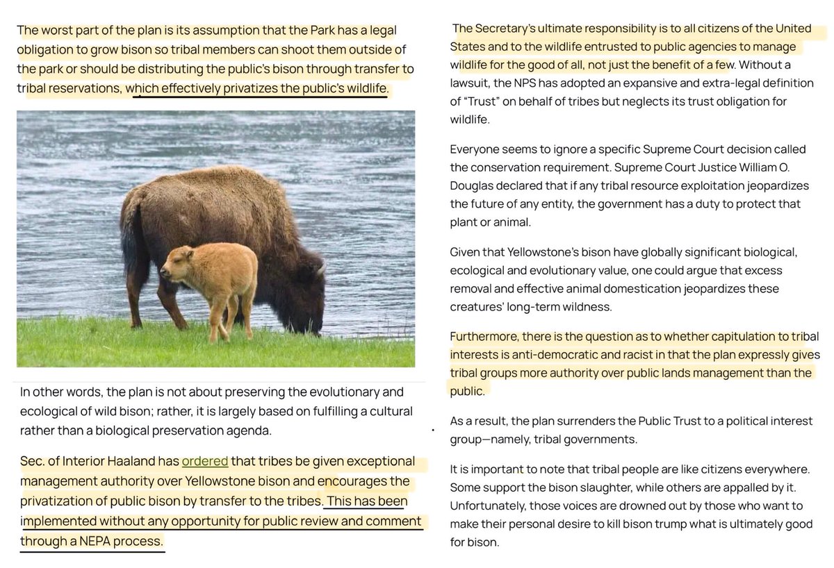 Blueequus775's tweet photo. .@SecDebHaaland: who gave you the authority to make decisions that don’t allow any public comment? 

Yellowstone Bison Plan Favors Tribal Culture Over Preserving Wild Bison: https://t.co/xGY049f3qn https://t.co/9WMFkDIfTl