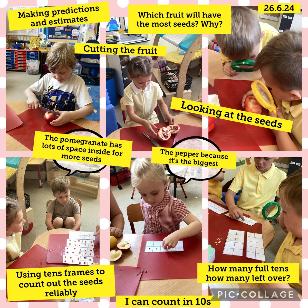 maepreception1's tweet photo. The children loved this activity! They were keen to cut the fruit themselves, make predictions and were excited to discover how many seeds were inside , we found over 170 in the pepper! We used our tens frames to help us count the seeds reliably @HEADMPS @Mae5ySchool https://t.co/443OiUfRjF
