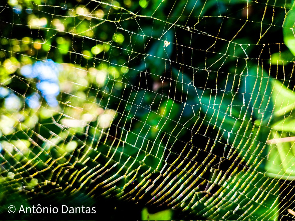 ajdmanso's tweet photo. #nftphotography #fineartphotography #NFTCommunitys https://t.co/WMyyHQf6cX