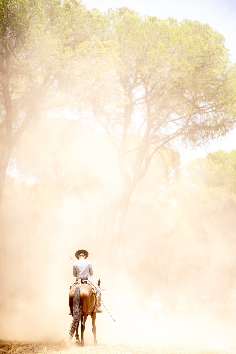 Tradiciones marismeñas.