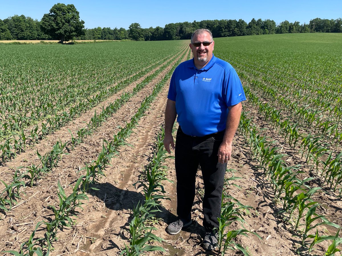 There's plenty of uneven and late-planted #corn across #ontag. What's the impact on fungicide strategies? Check out my chat with <a href="/Ken_Currah/">Ken Currah, CCA-On</a> <a href="/BASFAgSolutions/">BASF Agricultural Solutions Canada</a> on Corn School <a href="/realagriculture/">RealAgriculture</a> tinyurl.com/4wpzh8dj