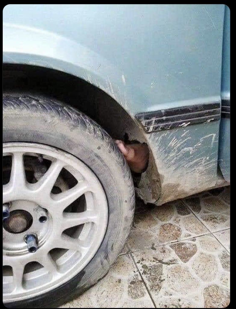 Tina Manina tweet media