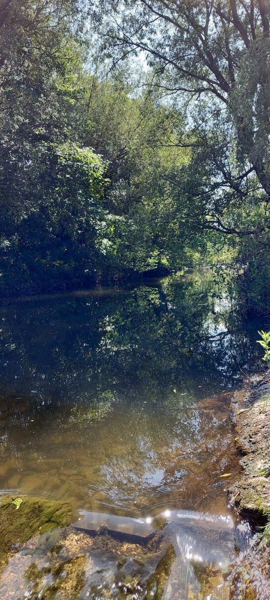 BrackishBrit tweet media