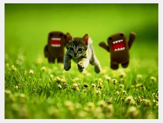 Mike Krafick tweet media