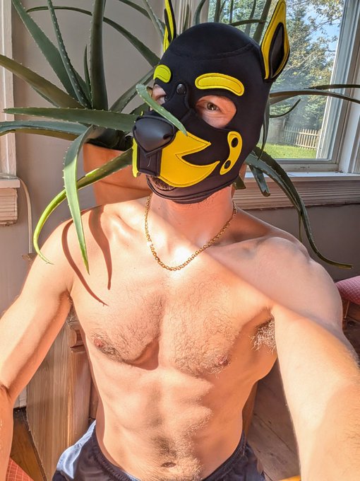 I have a giant Aloe plant. These things grow so fast! If you kill every house plant, get one of these