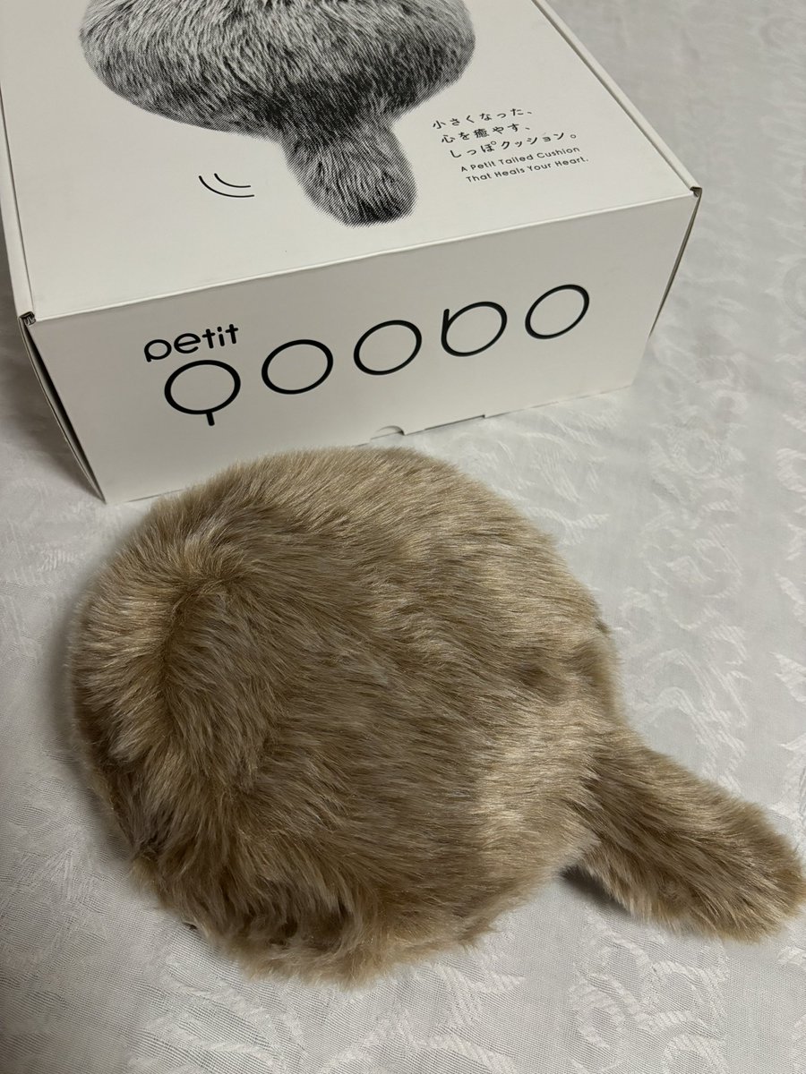 410_24p's tweet photo. 毎日の仕事が楽しくもキツくてしんどくて発狂しそうだったので猫ロボットを買った。これだけでもうかわいいけど短いしっぽがぴこぴこするの最高にかわいい。毎日もふる。もっと早く買えばよかった🐾 https://t.co/jEBHTmB3ol