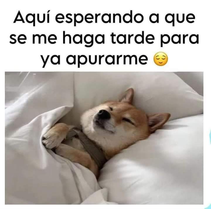 🇲🇽 México Mágico ✨ (@enmexicomagico) on Twitter photo 