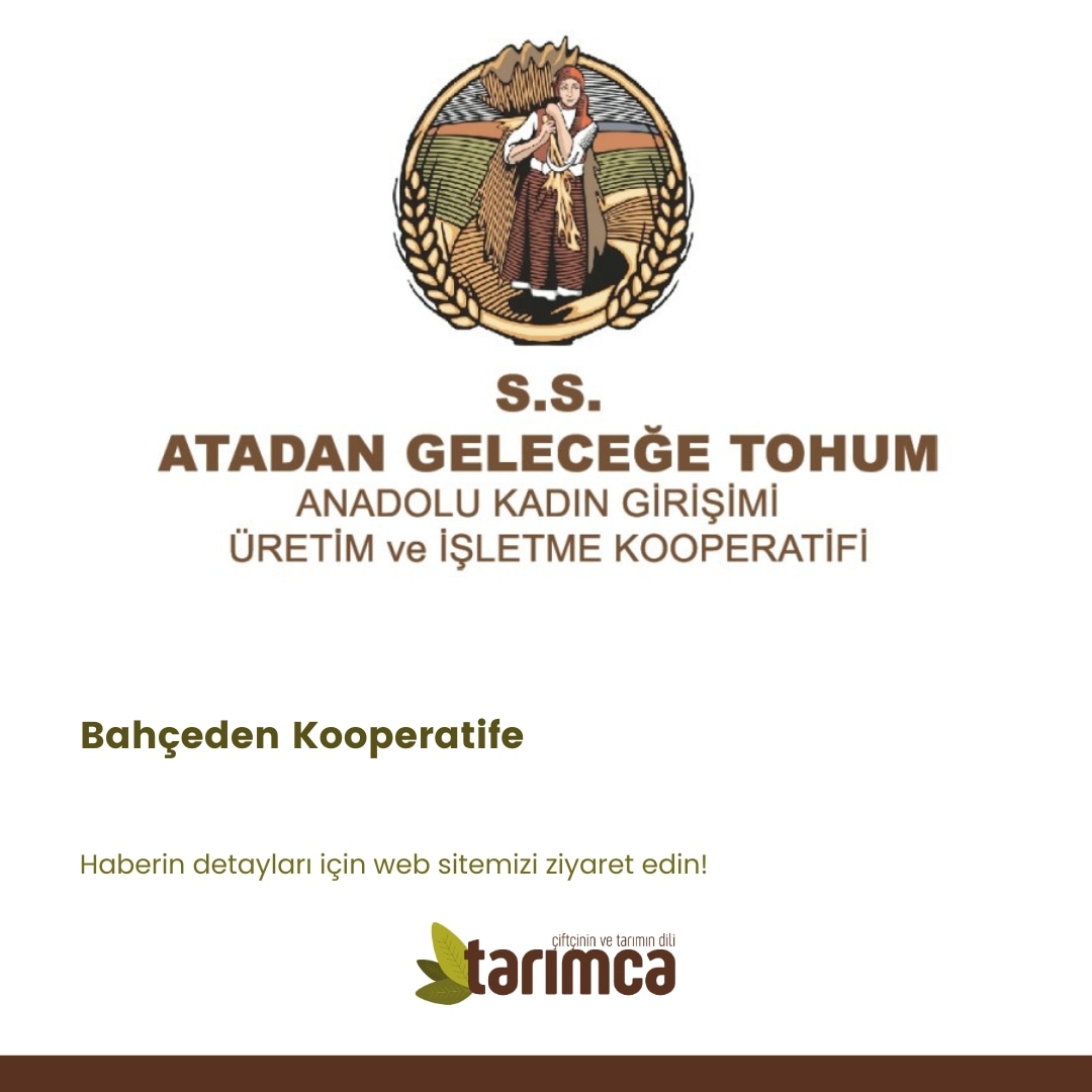 tarimcadergisi's tweet photo. https://t.co/IX872gV2ou

@semagunbas
Evinin bahçesinde ata tohumu yetiştirerek ilk adımını atan 52 yaşındaki Sema Günbaş, birçok kadına da iş imkanı sunarak Atadan Geleceğe/Anadolu Kadın Kooperatifi’ni kurdu.

Röportajımızı sitemizden okuyabilirsiniz.l https://t.co/aoNPB2xzWQ