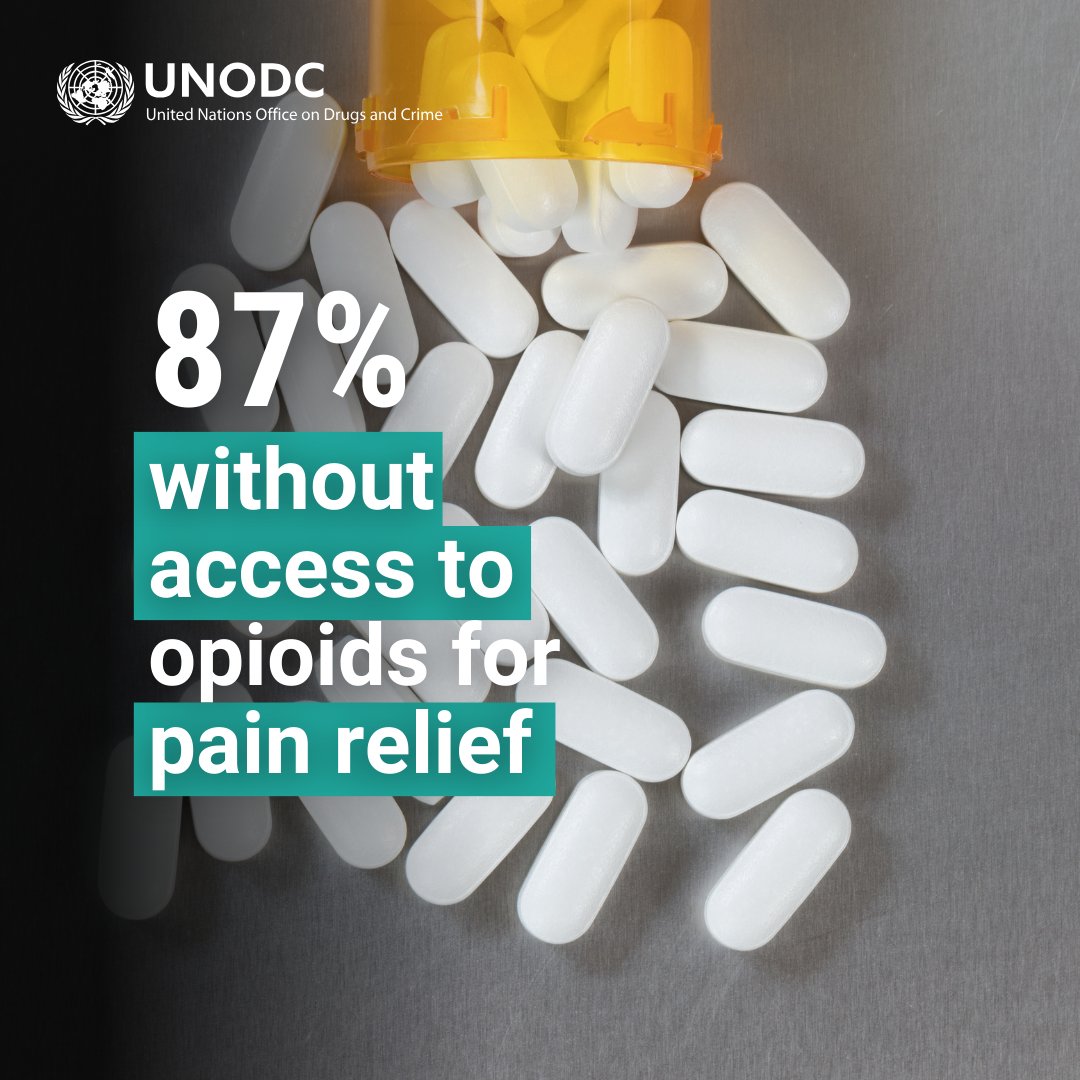 UNODC's tweet photo. Around 87% of the global population live without adequate access to opioids for pain relief.

Learn more in the #WorldDrugReport: