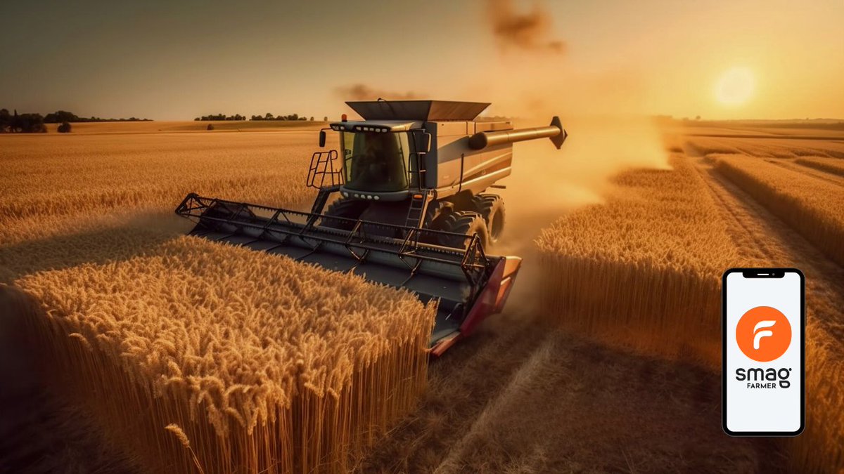 🌾 𝐋𝐚 𝐬𝐚𝐢𝐬𝐨𝐧 𝐝𝐞 𝐥𝐚 𝐦𝐨𝐢𝐬𝐬𝐨𝐧 𝐞𝐬𝐭 𝐥𝐚𝐧𝐜𝐞́𝐞 !

Après cette année d'aléas climatique 🌪 en tout genre qui ont bouleversé les assolements, nous souhaitons une bonne moisson à tous les agriculteurs ! 👨‍🌾

🌾 Les moissonneuses s’activent dans les parcelles et le