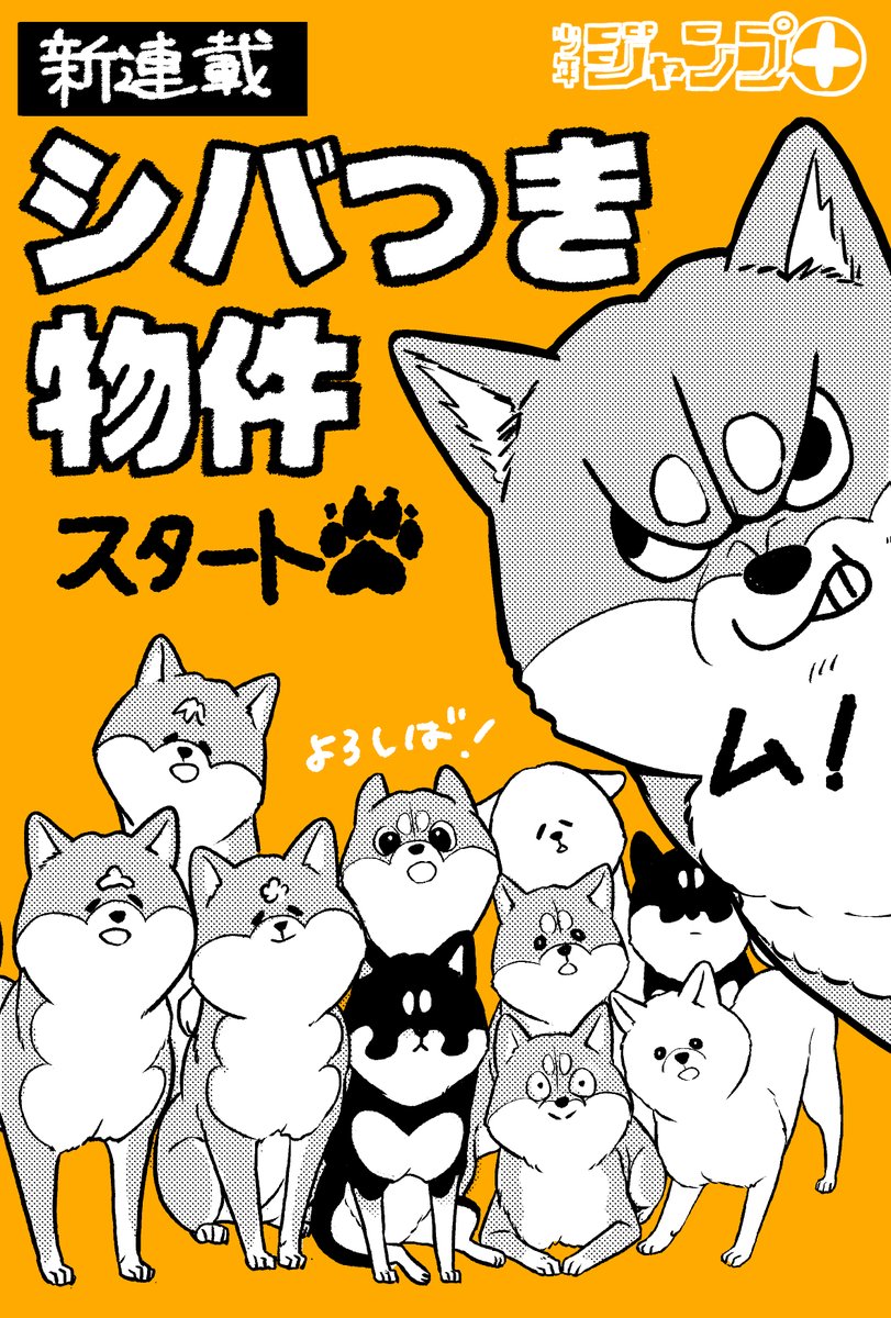 ジャンプ+にて新連載「シバつき物件」がはじまりました！🐾 初回は1話2
