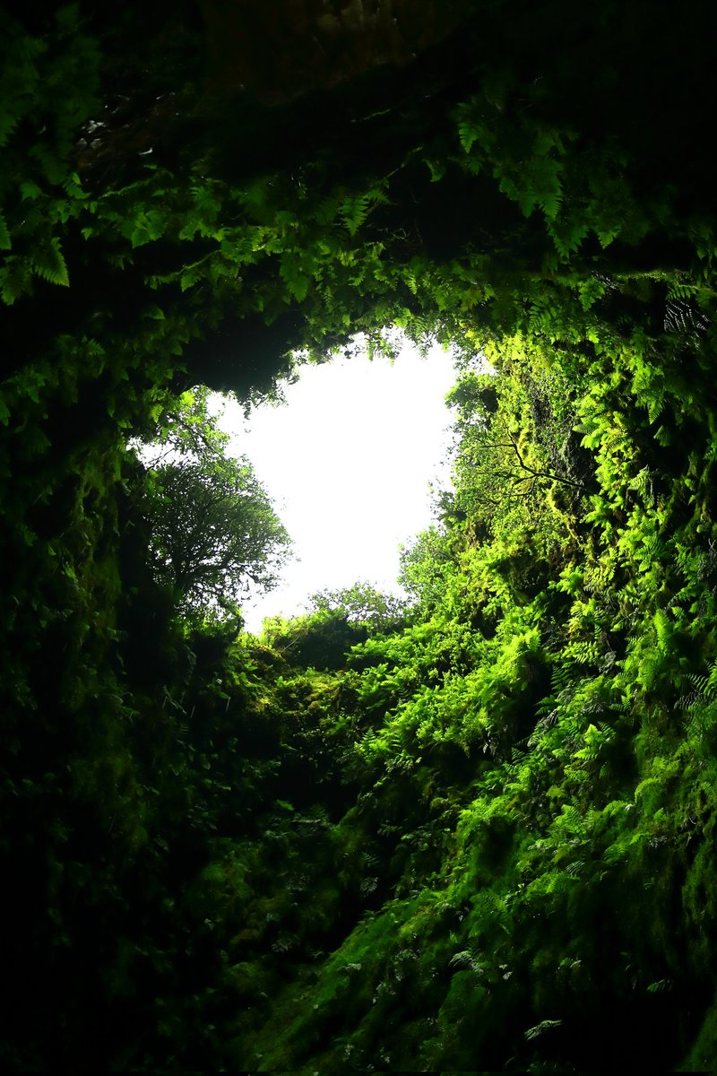 Vee_FM's tweet photo. Good Morning! ☀️❤️
The world is too big to stay in one place and life is too short to do just one thing! 🌿
#insideavolcano 🌋 #naturescenery #Photobyme
•📸• https://t.co/i1bZK5bB9o