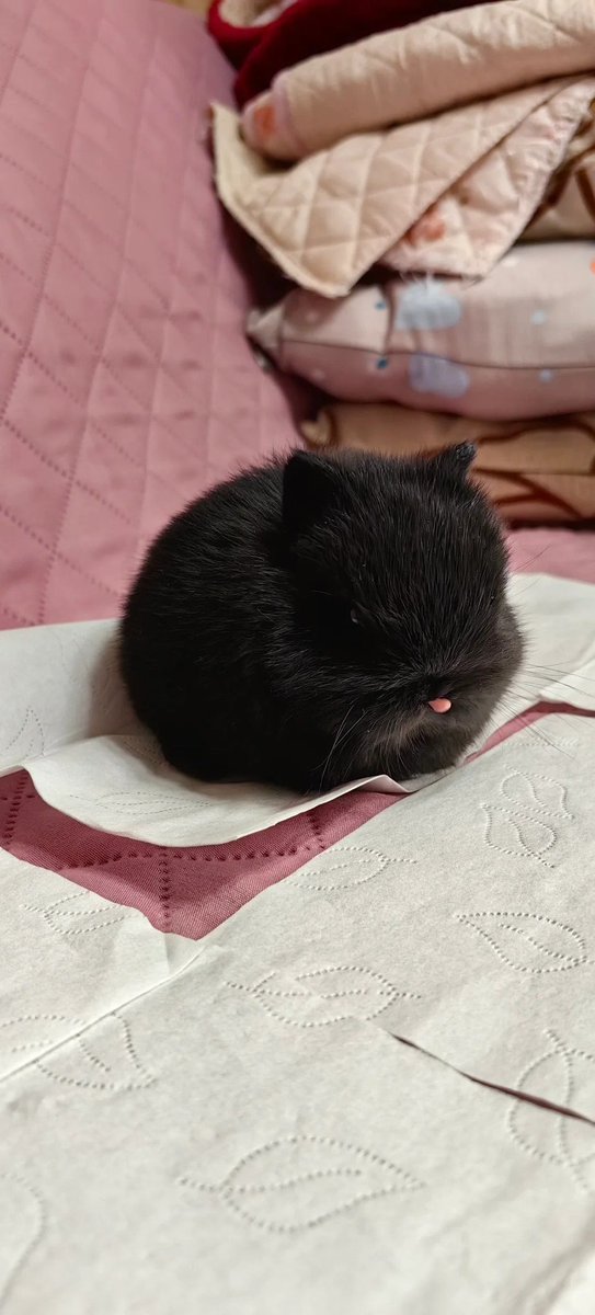 marie.♡̷̷ˎˊ˗

hi