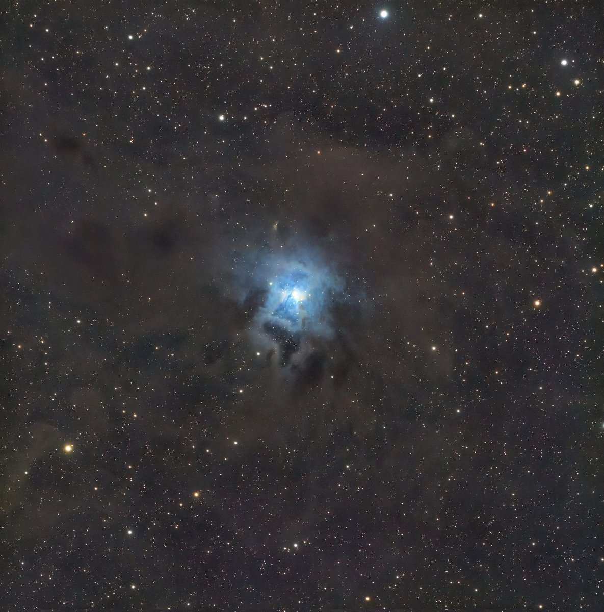 gduffett's tweet photo. My latest two images the Iris nebula and m51 the whirlpool Galaxy. Pretty happy with both. Wish I gotten a bit more dust on the iris. Very happy with some of the new tools I have in pixinsight. #nlastro https://t.co/4QehFVz3RK
