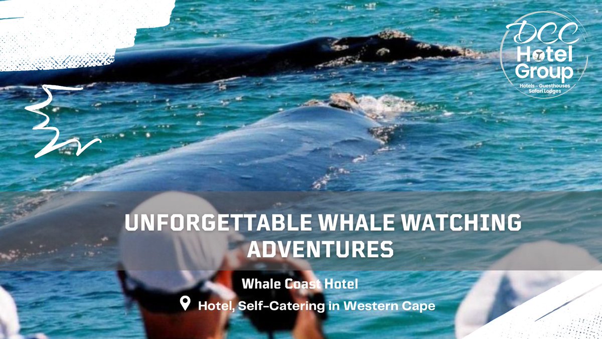 Hermanus Online tweet media