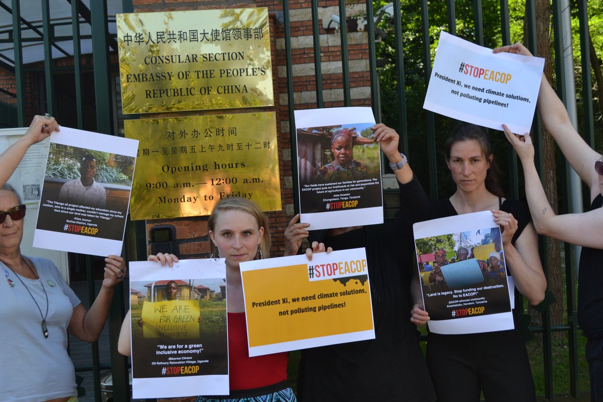 Extinction Rebellion Nederland tweet media