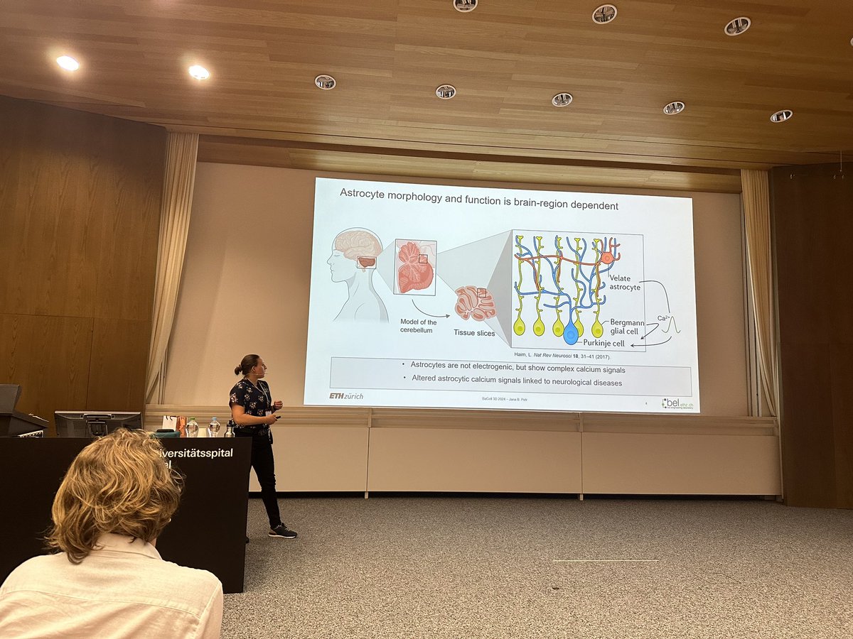 BaCell3D (@bacell3d) on Twitter photo Jana petr shows the PHIROS microfluidic system for high resolution imaging of slice culture of cerebellum to study astrocytes <a href="/ETH_BSSE/">D-BSSE, ETH Zurich</a> <a href="/ETH_en/">ETH Zurich</a> Jana petr shows the PHIROS microfluidic system for high resolution imaging of slice culture of cerebellum to study astrocytes <a href="/ETH_BSSE/">D-BSSE, ETH Zurich</a> <a href="/ETH_en/">ETH Zurich</a>