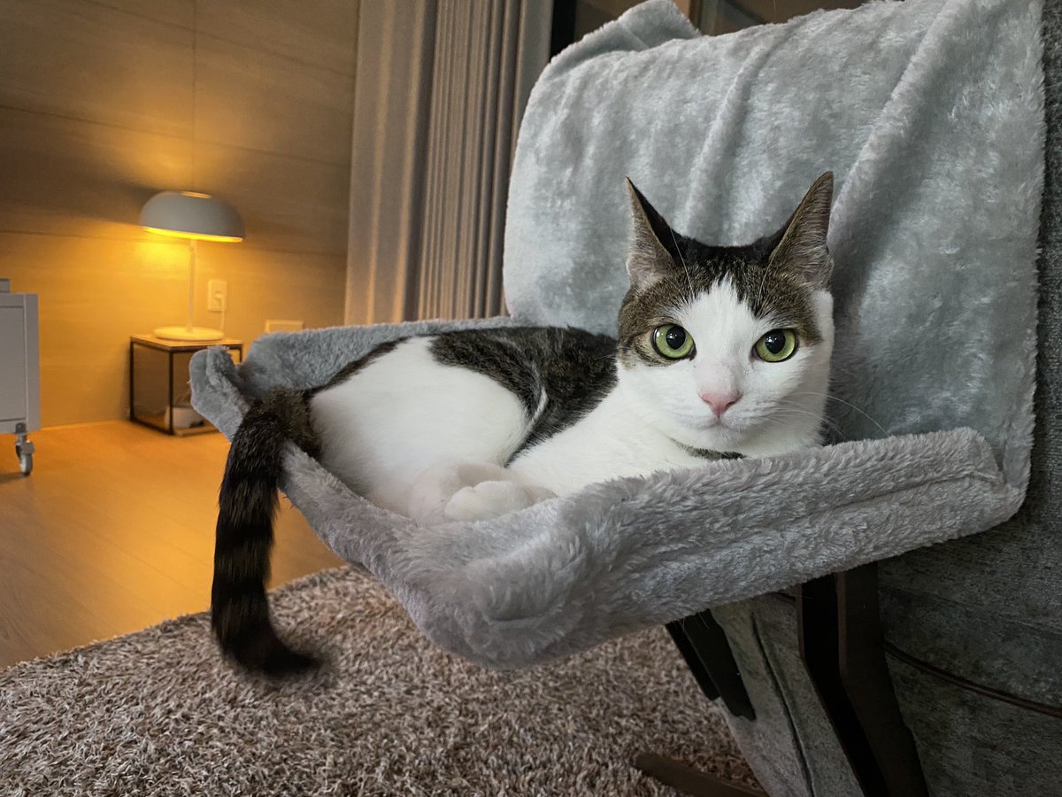 오랜만에 시즈니.