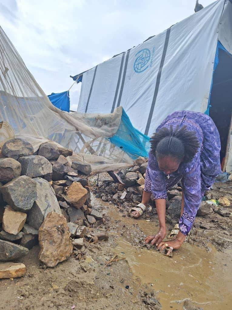 BrhaneNe's tweet photo. ናብራ ተመዛበልቲ መቐለ 70 ካሬ ሎሚ 
Today IDP Mekelle Tigray...... https://t.co/OYtfv8QUs4
