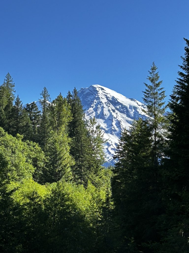 Day 3 - Mount Rainier National Park

This was what we were all looking forward to - a day in the park doing field studies with park scientists. 
@dacia92 #STEAMinthePark
#findyourpeople <a href="/MountRainierNP/">Mountain Rainer NP</a>