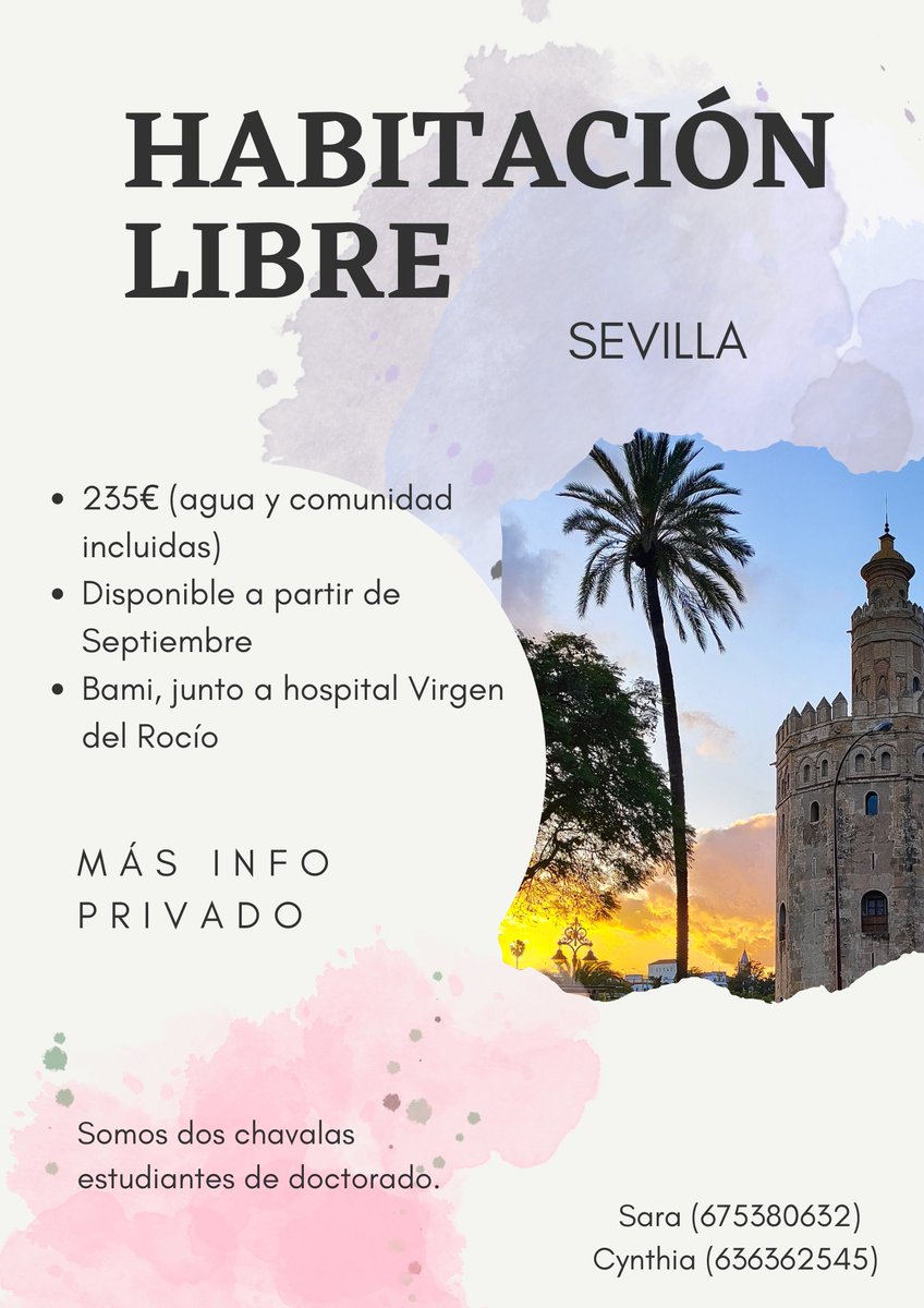 sara_gg23's tweet photo. Se busca compi de piso para el próximo curso #Sevilla @15_phoenix https://t.co/UZBB7hBevV