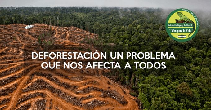 Hormiguero_UMBV's tweet photo. Te hablamos de la deforestación, ingresa aquí https://t.co/2nvc54hEG3 y entérate de como las actividades humanas han destruido los bosques naturales. #HormiBlog🐜 #Editorial #Artículos🤓 https://t.co/cwLGMoIt4b