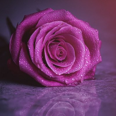 #صورة_جديدة_للملف_الشخصي