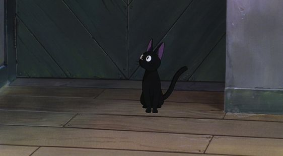 Anime Aesthetics tweet media