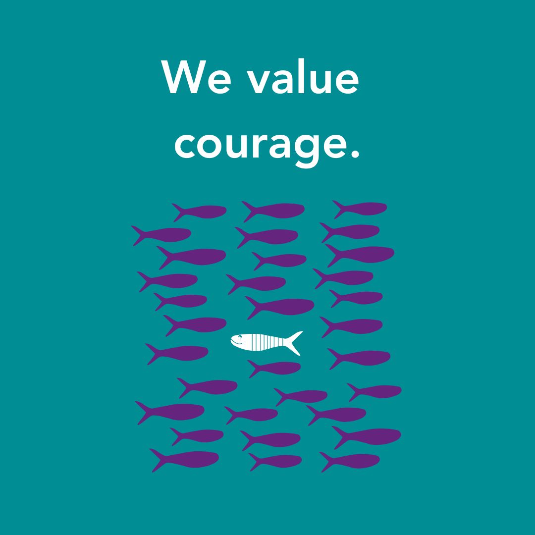 York Together tweet media