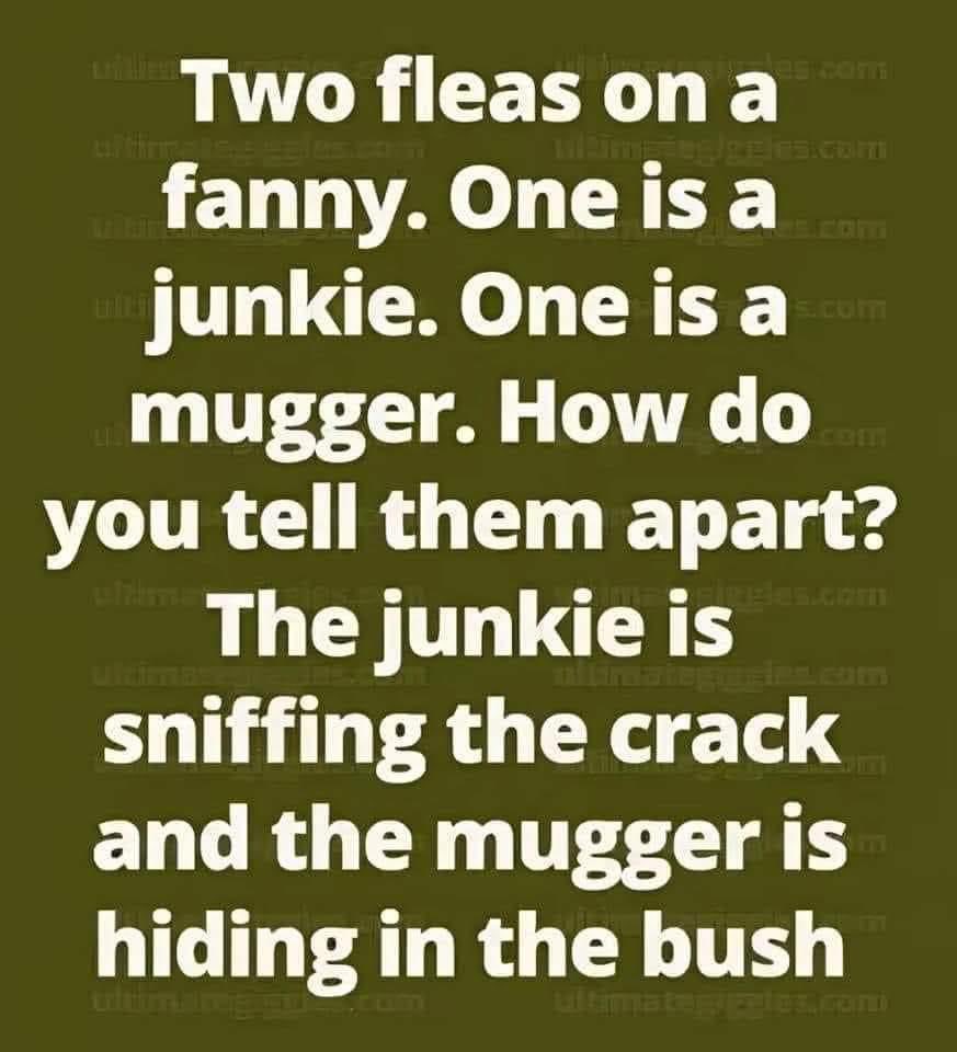 Goonersteelman tweet media