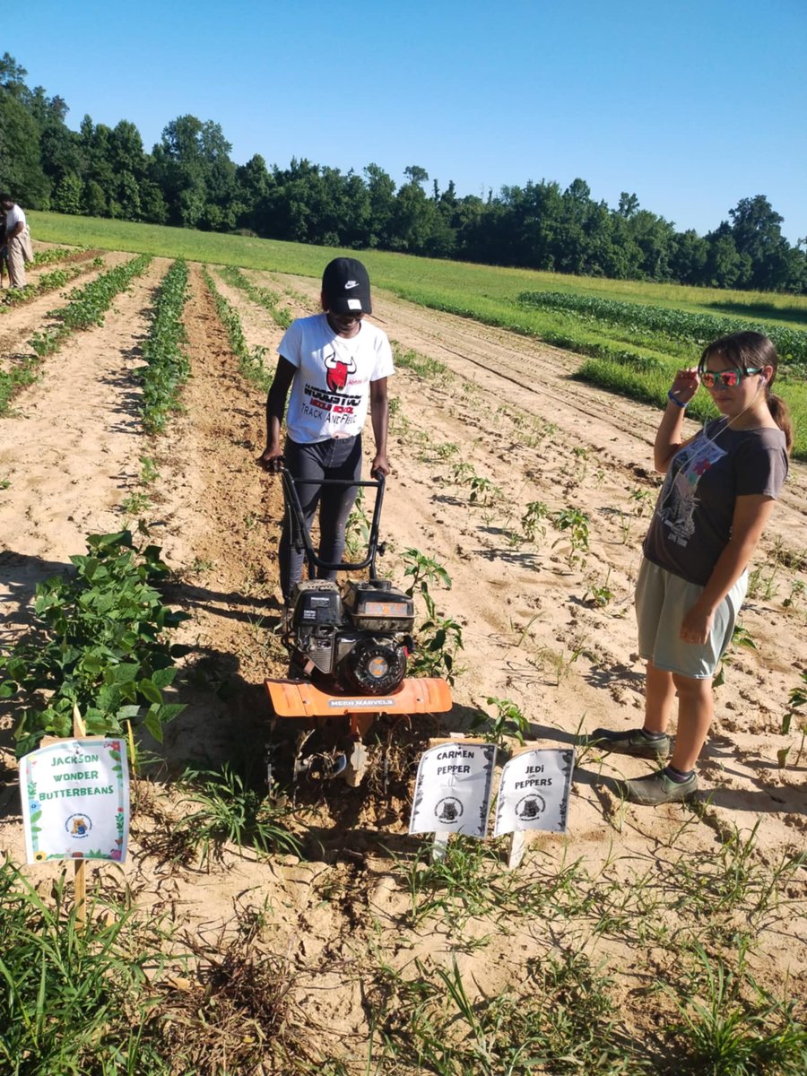 College, Career and Technical Education (CCTE) tweet media