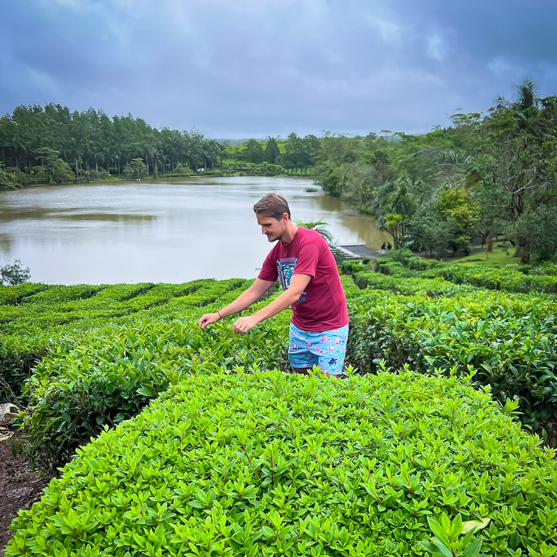 aSabbatical_com's tweet image. My #Mauritius experience in pictures 🚶‍♂️🇲🇺
1. #Waterfront in #PortLuis
2. #GrandBassin #HinduTemple
3. #TeaTasting in #BoisCheri

Read my blog to learn more: 🔗🔎⠀⁠
polarsteps.com/AdrianSameli/1…

#asabbatical #sabbatical #travelstory #nomadlifestyle