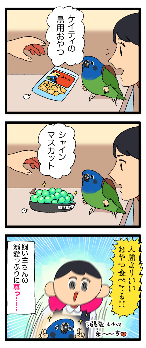ペットホテルで飼い主さんに溺愛されてるインコちゃんを見てると嬉しくなるんじゃ〜〜🍇🤗

⚠️一部フェイクを交えています
1160 #えるポピの絵日記かくところ 