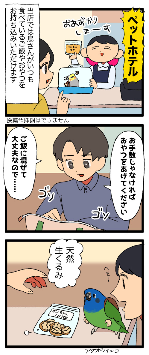 ペットホテルで飼い主さんに溺愛されてるインコちゃんを見てると嬉しくなるんじゃ〜〜🍇🤗

⚠️一部フェイクを交えています
1160 #えるポピの絵日記かくところ 