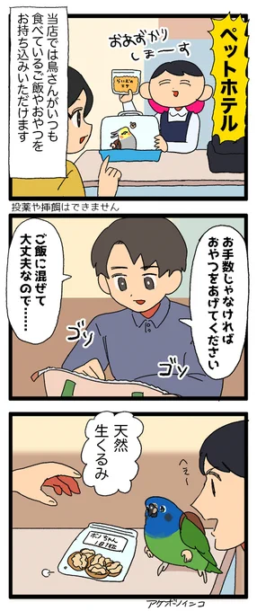 ペットホテルで飼い主さんに溺愛されてるインコちゃんを見てると嬉しくなるんじゃ〜〜🍇🤗

⚠️一部フェイクを交えています
1160 #えるポピの絵日記かくところ 